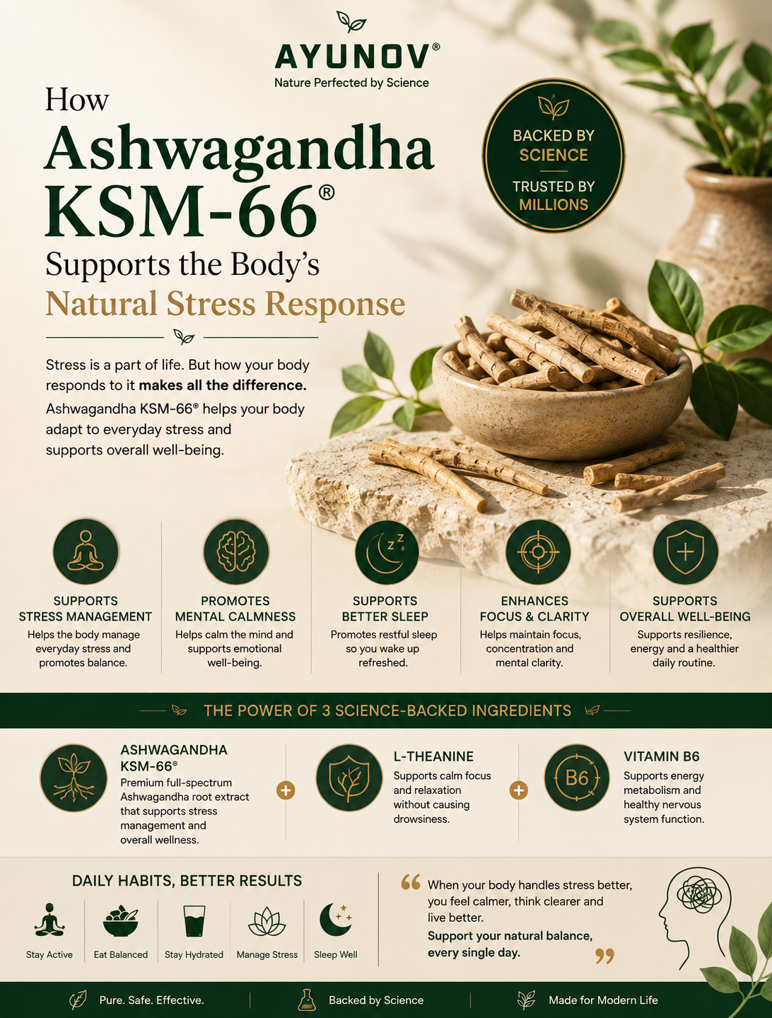 How Ashwagandha KSM-66 Supports the Body's Natural Stress Response ⭐⭐⭐⭐⭐
