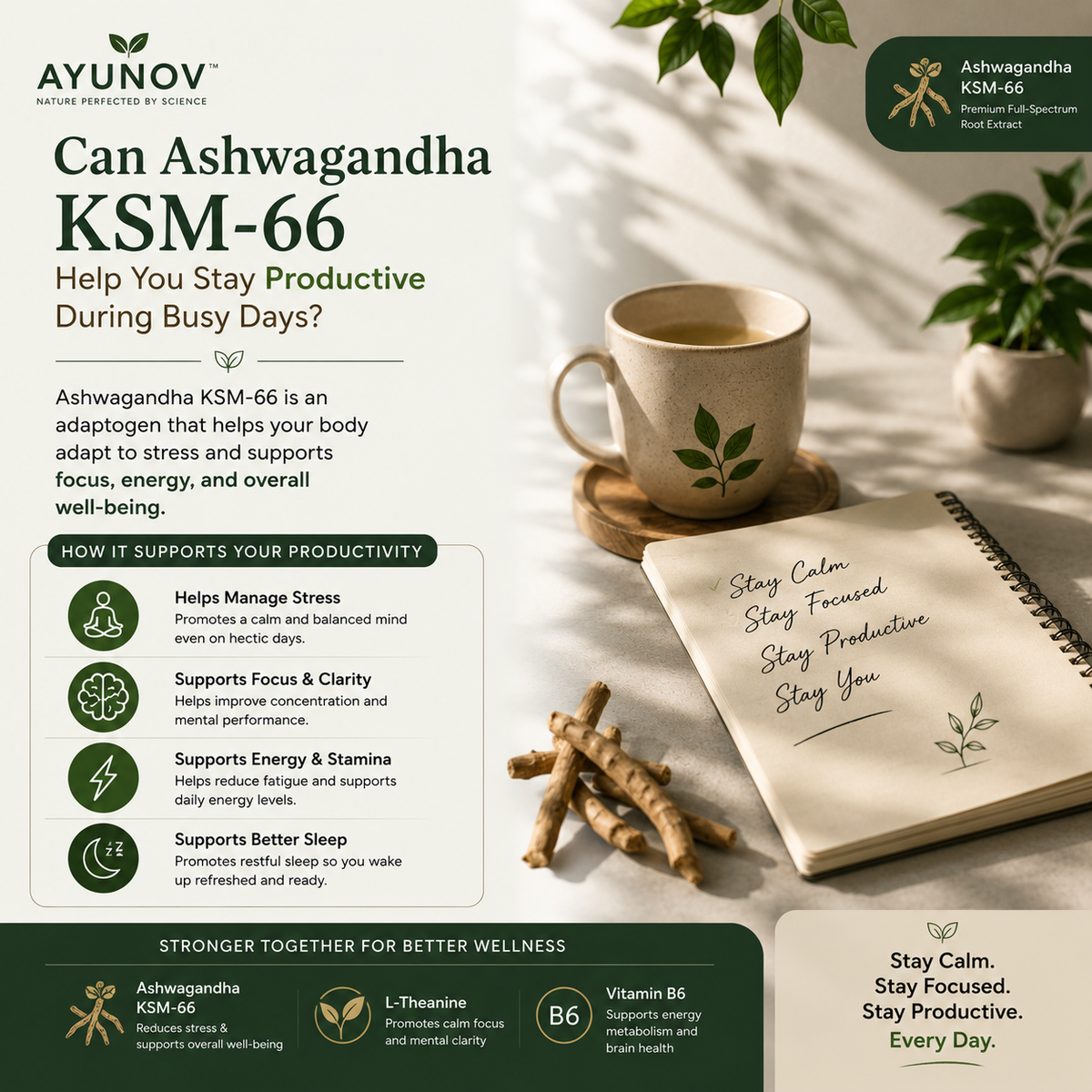 Can Ashwagandha KSM-66 Help You Stay Productive During Busy Days?