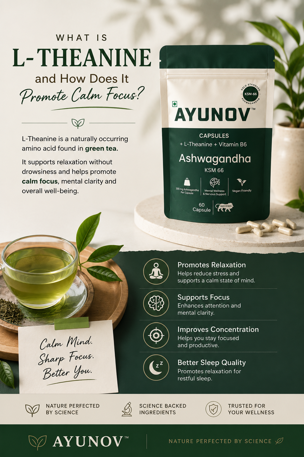 What Is L-Theanine and How Does It Promote Calm Focus?