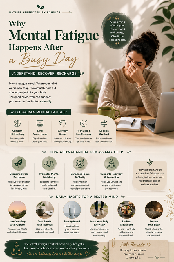 Why Mental Fatigue Happens After a Busy Day — And How Ashwagandha KSM-66 May Help