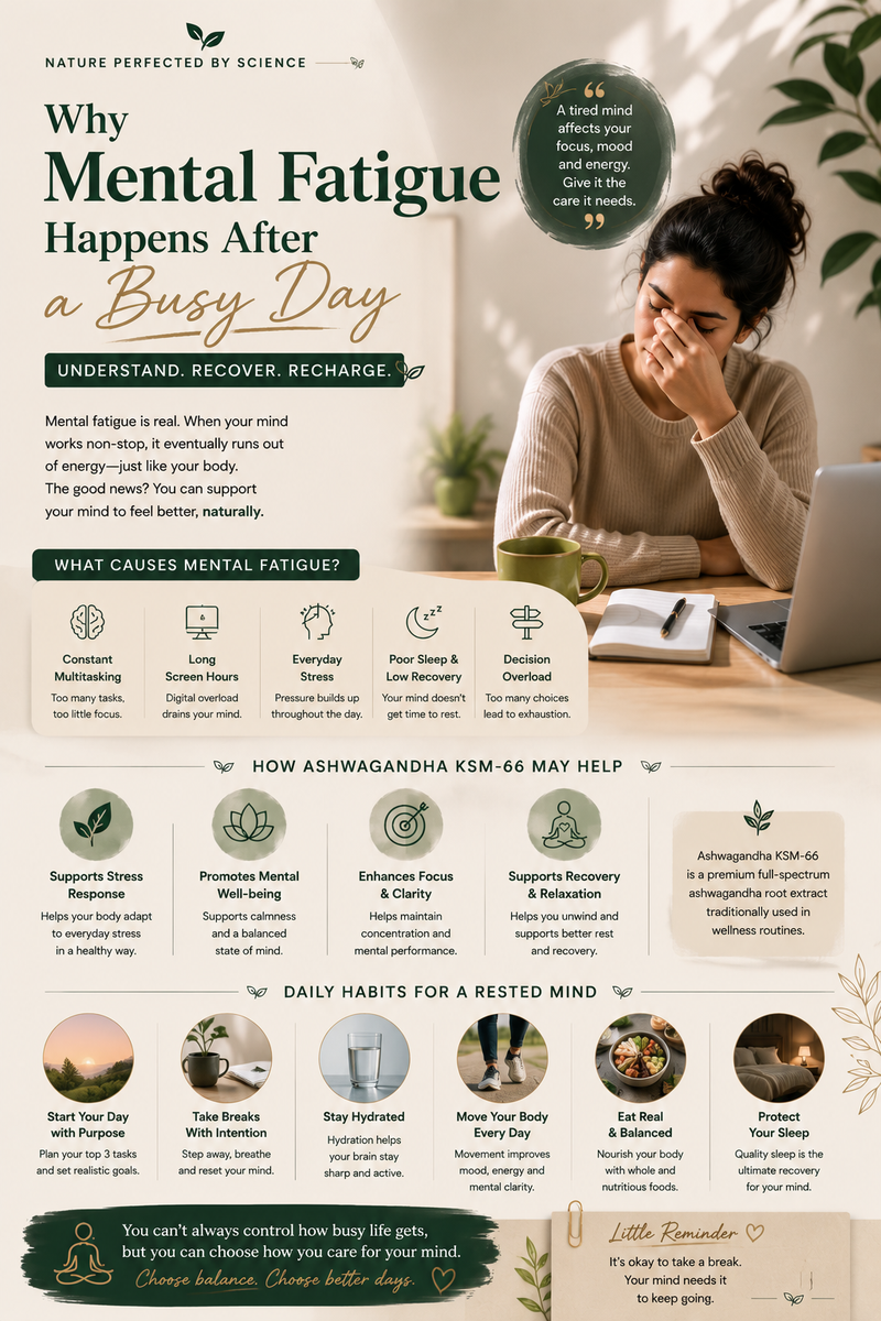 Why Mental Fatigue Happens After a Busy Day — And How Ashwagandha KSM-66 May Help