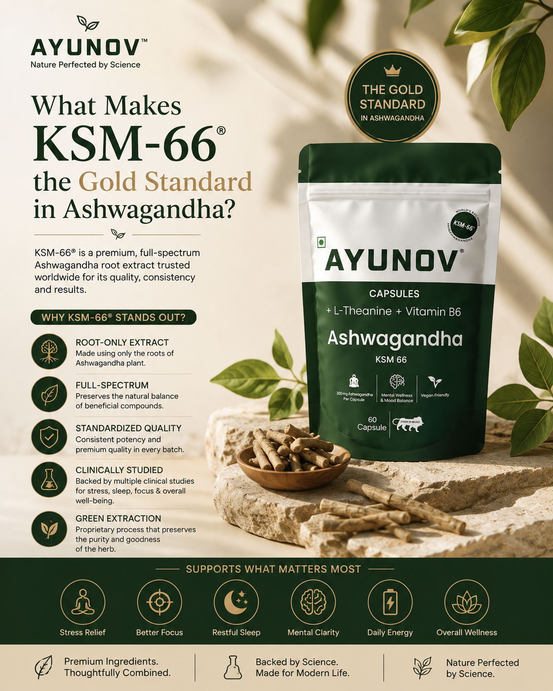 What Makes KSM-66® the Gold Standard in Ashwagandha?