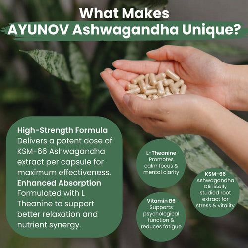 Ashwagandha Capsules KSM 66