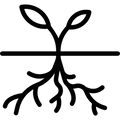 KSM-66 Ashwagandha